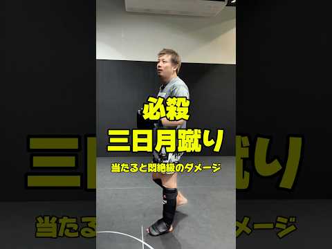 必殺三日月蹴り！#RIZIN#ライジン#総合格闘技#MMA#mmatechniques#キックボクシング#kickboxing#キックボクシングテクニック#kickboxingtechniques