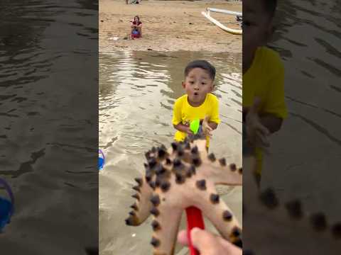 Berburu hewan Langka di Pantai 🏝️ #pantai #deodanvano