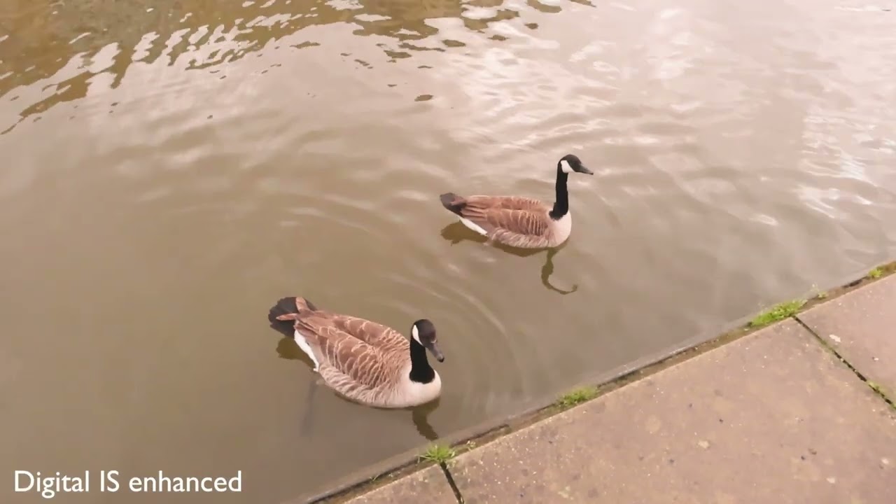 Canon PowerShot V10: Digital IS - YouTube