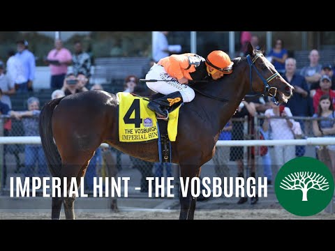Imperial Hint - 2019 - The Vosburgh Stakes