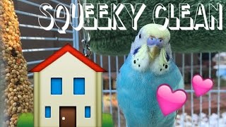 cleaning my bird cage❤ part 3