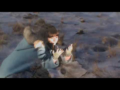 Carol - Other Room (Official Visualizer)