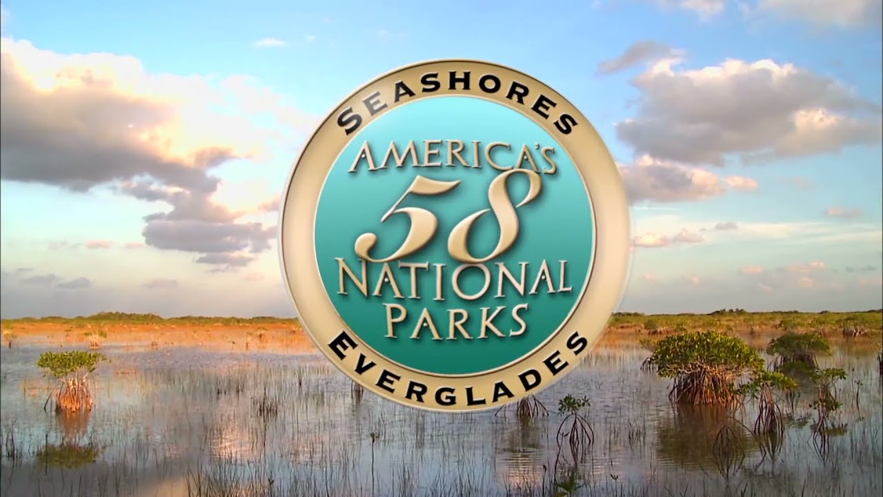 Everglades National Park: 'The Liquid Heart of Florida'