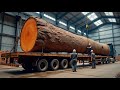 Woodworking Factory Giant Wood Sawing Machine At Full Capacity Saw Down Thousand Year Old Tree