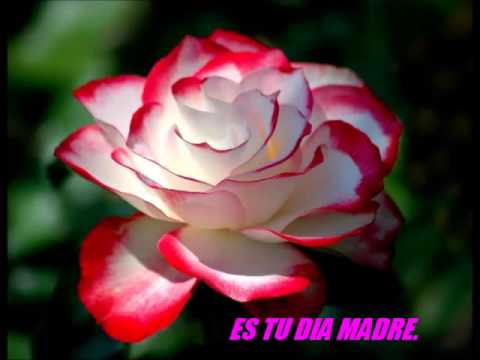 download lagu mp3 mp4 Hoy Es Tu Dia Mama, download lagu Hoy Es Tu Dia Mama gratis, unduh video klip Hoy Es Tu Dia Mama