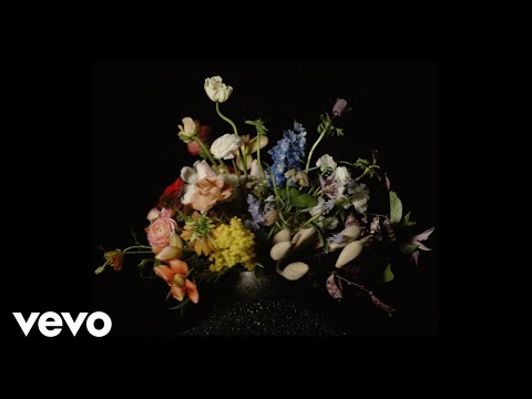 David Kitt - Cling Film (Official Music Video)