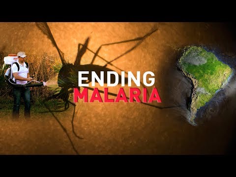 FULL MEASURE: January 27, 2019 - Ending Malaria