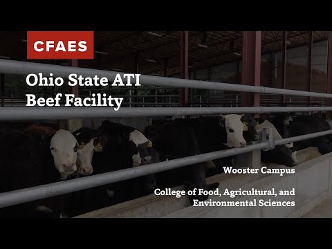 Ohio State ATI Beef Facility