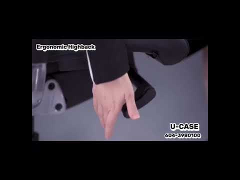 Maxim Ergonomic Chair