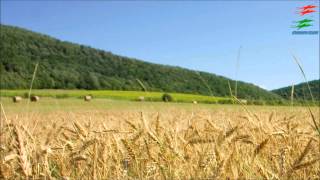 Deep Forest    Marta&#39;s Song HD ( original mix)