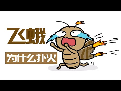 飛蛾怕什麼