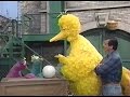 Sesame Street Hatching A Honker Egg
