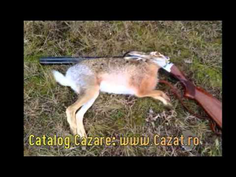 Cazare Tiganasi, Mehedinti - Cazat.ro