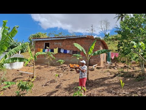 Minha casinha simples cheia de vida e sossego no agreste da Paraiba #diaadia 