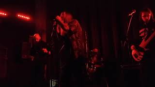 Blood Freak Music Video