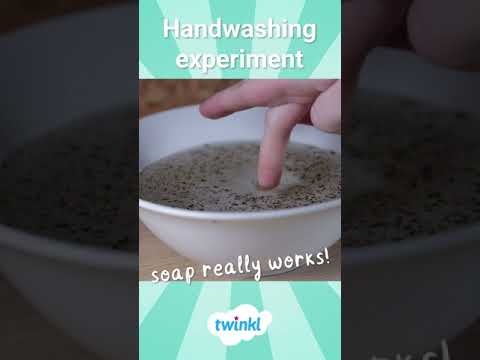 Handwashing Science Experiment for Children (soap really does work!) | Twinkl #Shorts