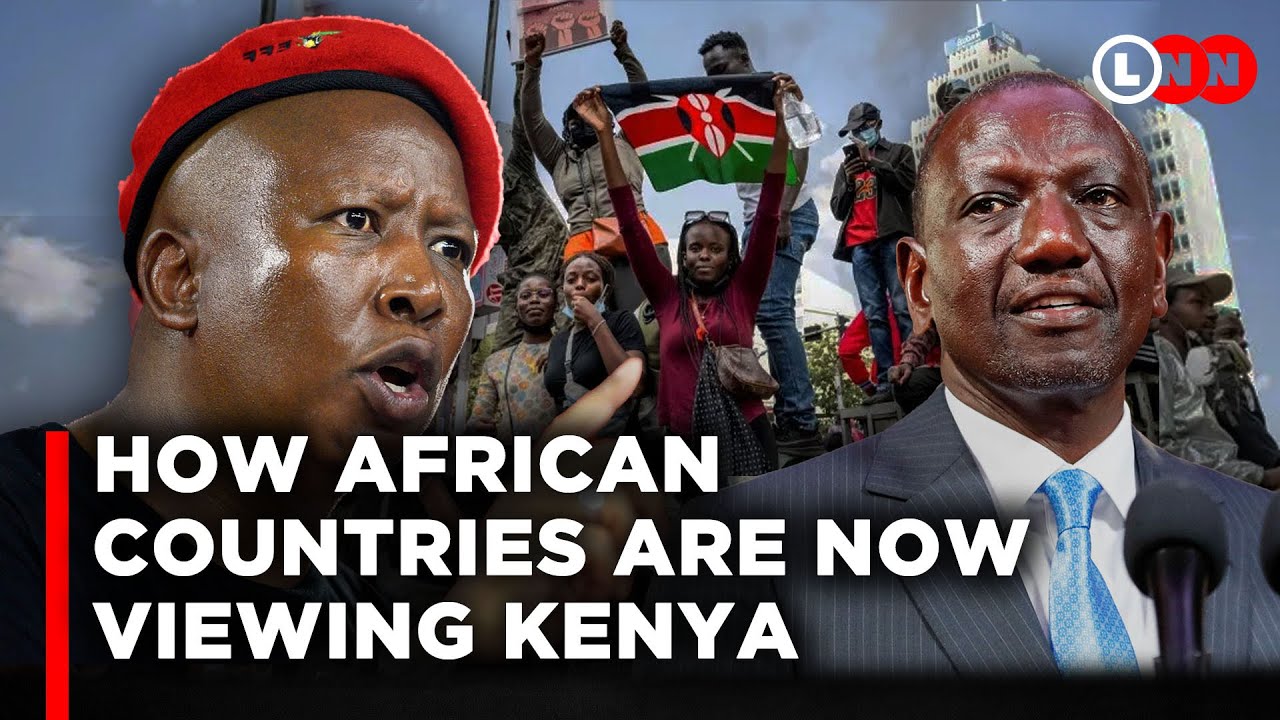 Nigeria, Ghana , Zimbabwe and other African countries are getting inspiration from Kenya | LNN