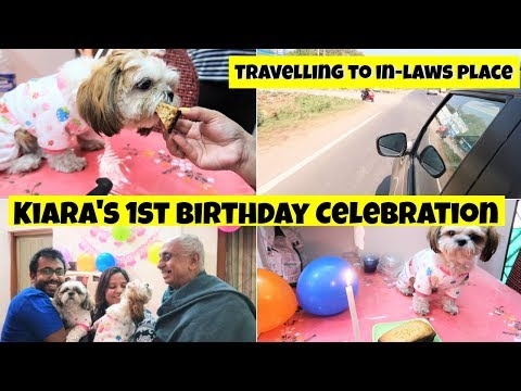 Puppy's FIRST Birthday Celebration | Travelling To In-laws Place | Kolkata To Kalyani Road Trip