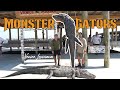 MONSTER Gator Hunting In Venice Louisiana Southern Adventures Ultimate Outfitters Ep 2