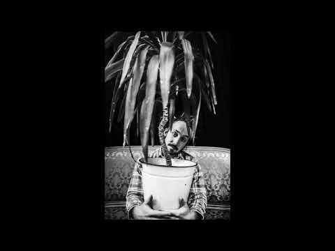 beda mit palme - Daunzn-Remix-Audio (prod. Cueing)