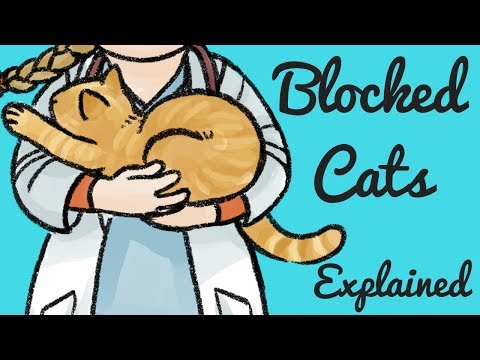 Urethral Blockages in male cats