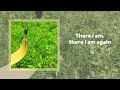 Animation Meme Audios That I Would Use If I Knew How To Animate