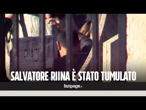 Trattamento adenoma prostatico con il fango Cialis per il trattamento della prostatite