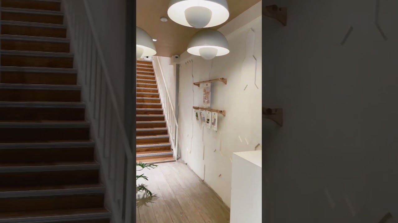 YouTube Short thumbnail