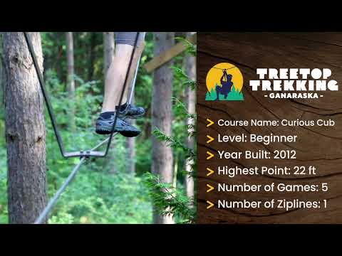 Treetop Trekking Ganaraska | Curious Cub Course Tour