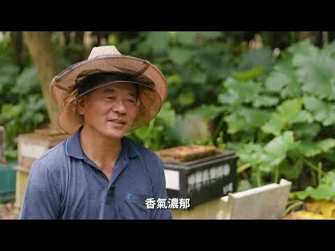 一滴純蜜的誕生 國產蜂蜜的旅程