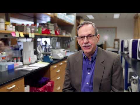 download lagu mp3 mp4 Timothy Springer, download lagu Timothy Springer gratis, unduh video klip Timothy Springer