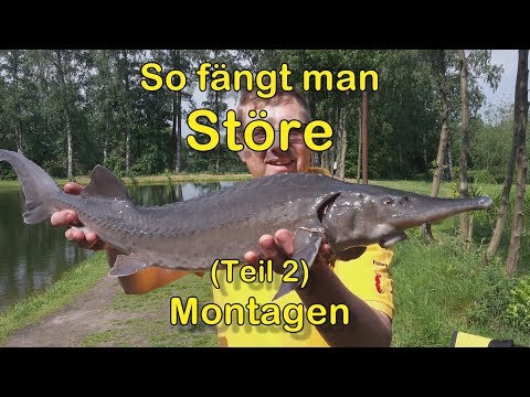Störangeln Part 2 - Montage