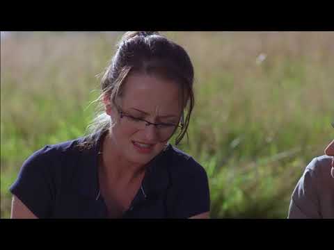 Trailer-Vorschau: Armageddon 2012: Die letzten Stunden der Menschheit