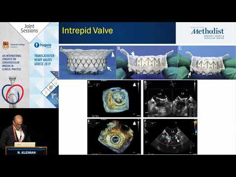 N. Kleiman | Who are the best candidates for experimental TMVR in 2019?