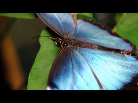 EclipseD Sessions 006 - Johan Vilborg Guest Mix