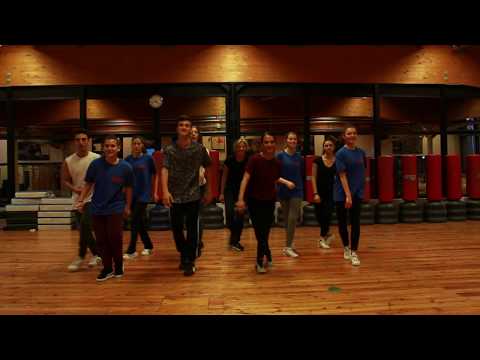 VIDEO TUTORIAL FLASHMOB LINFOAMICI