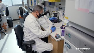 Simmons Cancer Center Postdoctoral Program