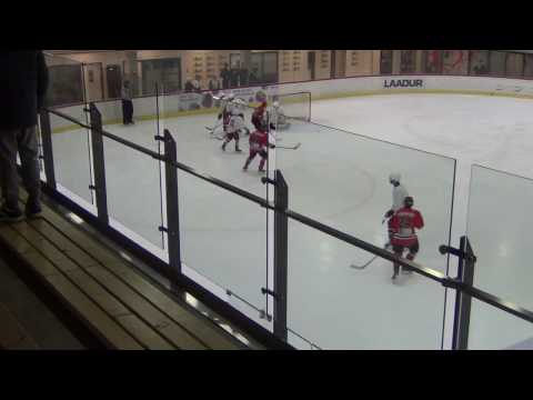 HC Panter 02/03 - ParSport FIN   13-2 (4-2, 4-0, 5-0)  07.04.2017