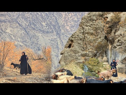 Nomad Girl Shepherding & Cave Life in iran | SITA’s Hard Journey to Hidden Springs