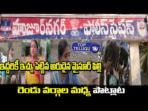 Cat Panchayat Reaches Huzurnagar Police Station | Top Telugu TV