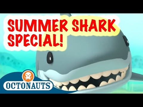 Shark Week Special!