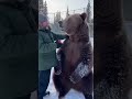 This Man Adopted A Cute Little Bear And Raised It With Love Animals Wildliferescue Shorts