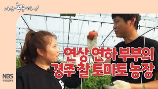 [나는농부다 241회] 연상 연하 부부의 경주 찰 토마토 농장