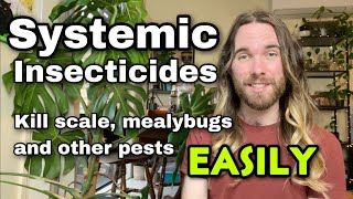 Systemic Pesticides: How to kill scale and other houseplant pests easily