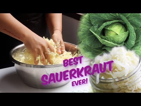 HOW TO MAKE SAUERKRAUT #14