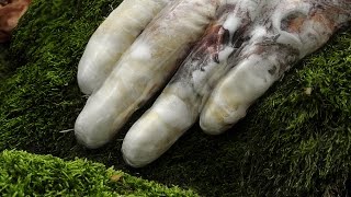 Antwood - Prototype HA Remix