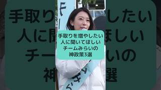 手取りを増やしたい人に聞いてほしい チームみらいの神政策3選 #チームみらい