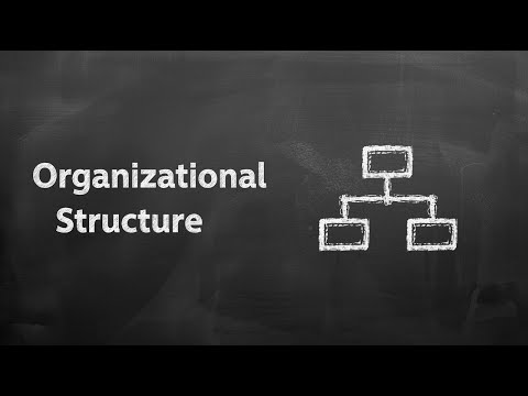 Organizational Structure Explained | MBA Essentials