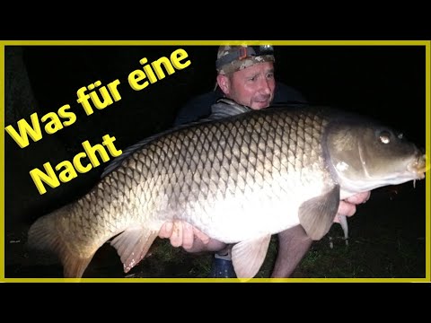 Karpfenangeln mit Pose, Schwimmbrot, Mais und Boilies #karpfen