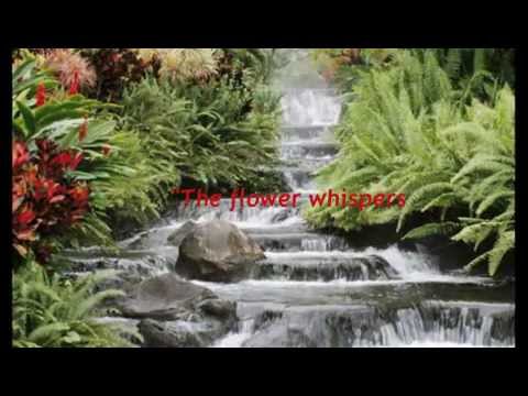 The beauty of nature - BY TAREK DEABES